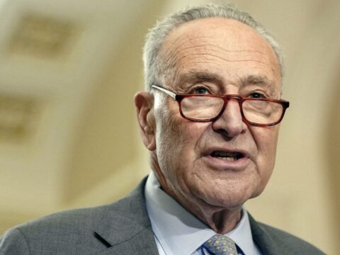 Schumer says Dems must ‘look in the mirror’ after election loss