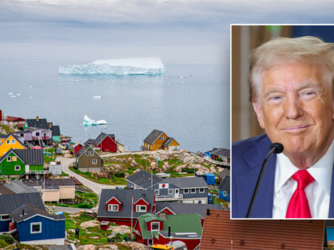 Trump shares amusing video of Greenlander asking him to 'buy us' from Denmark