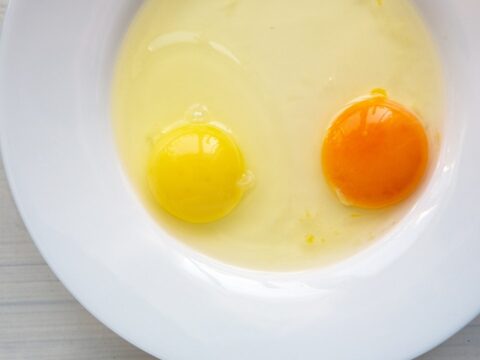 The color of yolk: Egg-spert cracks the shell on the differences