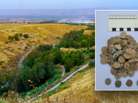 Treasure trove of 160 ancient coins found buried in kitchen