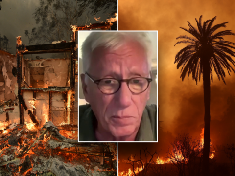 Actor James Woods recalls chaotic moments as Palisades fire gained momentum