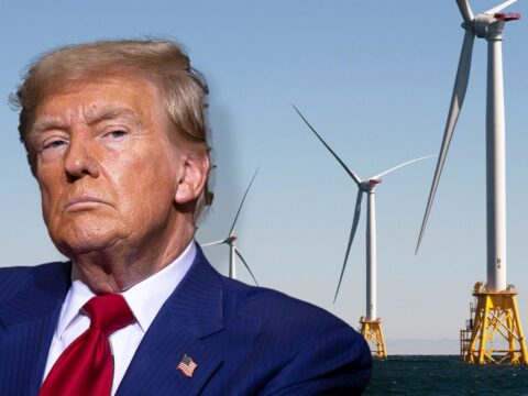 Trump eyes an end to new windmill production under second term, says they are 'driving the whales crazy'