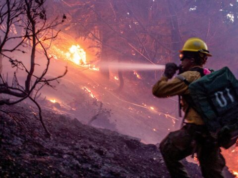 Essential phone numbers for Los Angeles-area residents and how you can help them